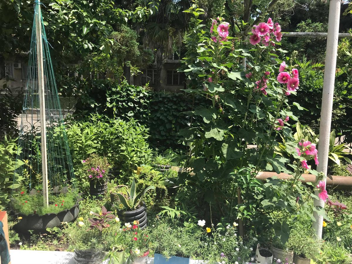 Anna Hostel 코불레티 외부 사진