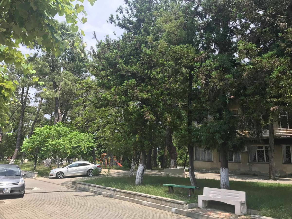 Anna Hostel 코불레티 외부 사진