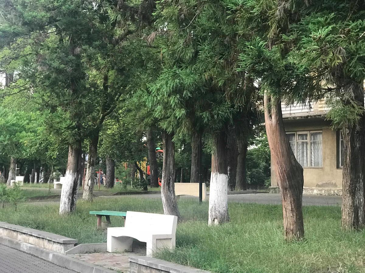 Anna Hostel 코불레티 외부 사진