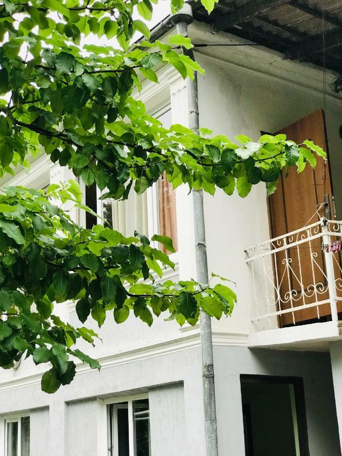 Anna Hostel 코불레티 외부 사진